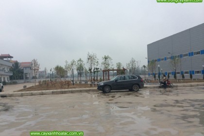 Ảnh sau khi nghiệm thu tại nhà máy VietPan