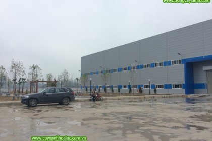Ảnh sau khi nghiệm thu tại nhà máy VietPan