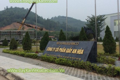 Nhà máy giấy An Hòa - Tuyên Quang