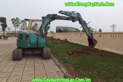 Trồng Cây Xanh cho ngân hàng ViettinBank