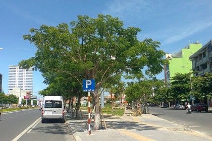 Cây Xanh Đà Nẵng