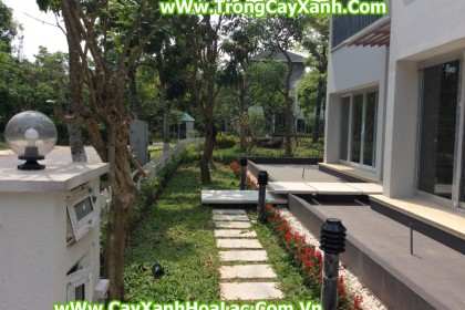 Hình ảnh khuôn viên trước khi thi công