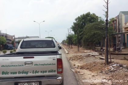 Mặt bằng đã bàn giao