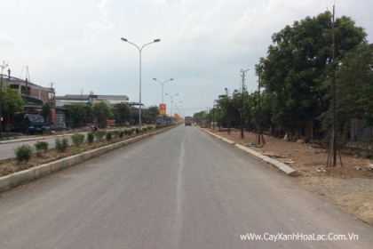 HÌnh ảnh mới thi công xong giải phân cách