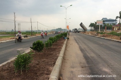 HÌnh ảnh mới thi công xong giải phân cách