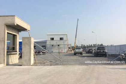 Mặt băng nhà máy Điện Tử Sunlin trước khi thi công