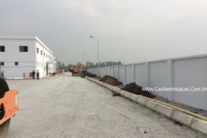 Mặt bằng nhà máy Điện tử Sunlin băt đầu thi công