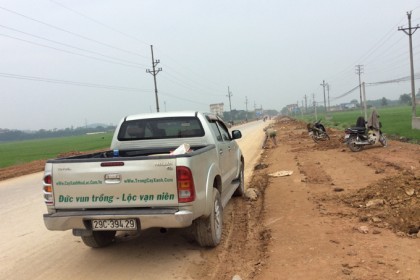 Mặt bằng trước khi đưa cây sao Đen về trồng