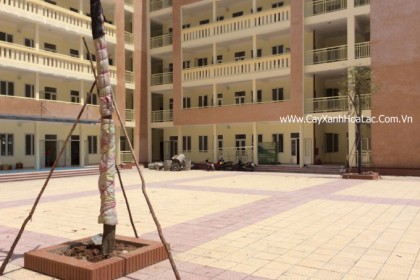 Mặt bằng sau khi thi công