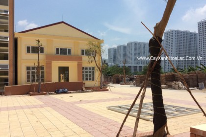 Mặt bằng sau khi thi công