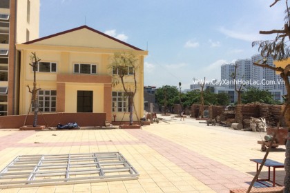 Mặt bằng sau khi thi công