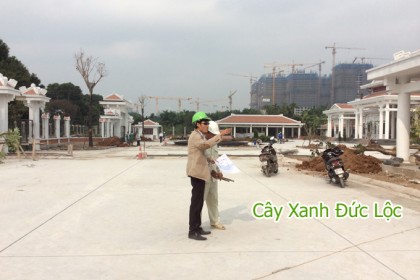 Hình ảnh đang thi công trồng cây xanh cho nhà tang lễ Mai Dịch - Cầu Giấy
