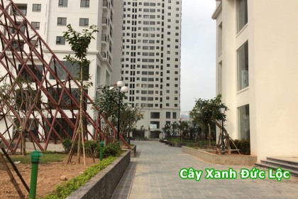 Bên trong khuôn viên dự án CT2