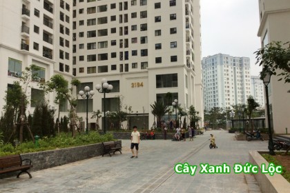 Bên trong khuôn viên dự án CT2