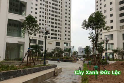 Bên trong khuôn viên dự án CT2