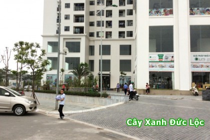 Khu trước tóa nhà B4