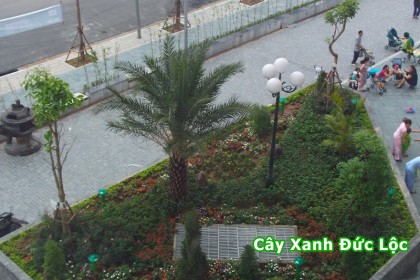 Ảnh chụp từ trên xuống khu vực trước tòa B5