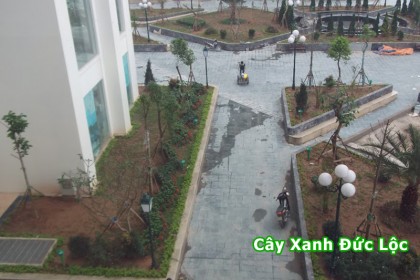 Ảnh chụp từ trên xuống khu vực công viên bên trong dự án