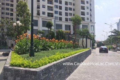 CT2- Thành Phố Giao Lưu