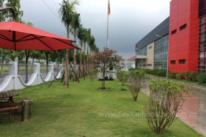 Mặt trước nhà máy