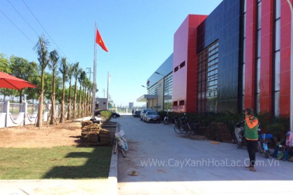 Ảnh đang thi công phia trước nhà máy