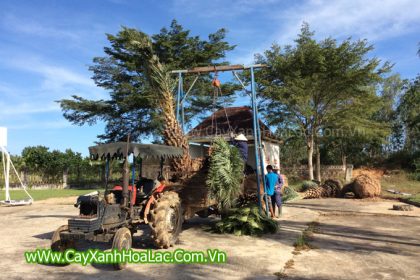 Ảnh đang chuẩn bị xếp xe cho Khách