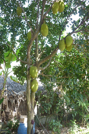 images25447_Mitnghe
