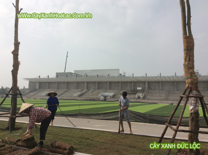 Trung tâm Văn hóa – Thể dục thể thao quận Hoàng Mai