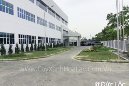 Nhà máy During Sau khi đã hoàn thiện