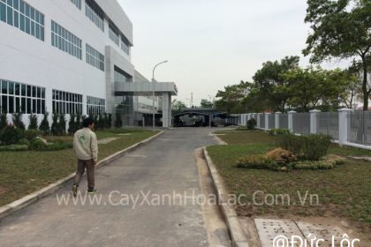 Nhà máy During Sau khi đã hoàn thiện