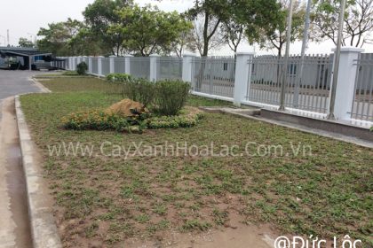 Nhà máy During Sau khi đã hoàn thiện