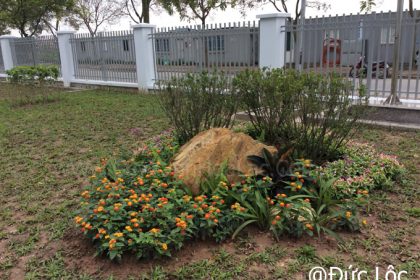Nhà máy During Sau khi đã hoàn thiện