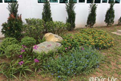 Nhà máy During Sau khi đã hoàn thiện