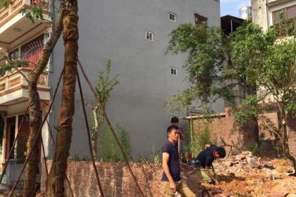 Trồng cây xanh tại Lào Cai