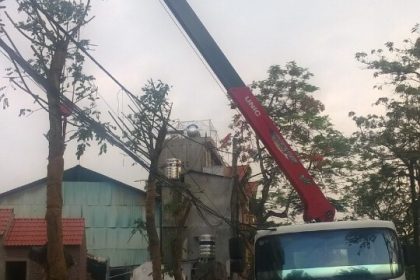 Trồng cây xanh tại Lào Cai