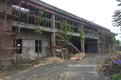 Cây trồng sau 2 tháng