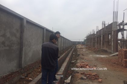 Hình ảnh bên hông nhà máy lúc chưa trồng cây