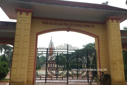 Trồng cây xanh nghĩa trang liệt sỹ