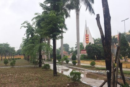 Trồng cây xanh nghĩa trang liệt sỹ