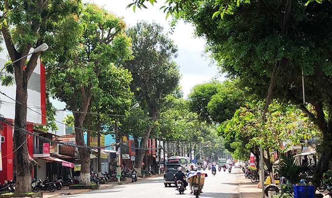 Cây xanh đô thị Việt Nam quá thấp so với tiêu chuẩn thế giới