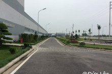 Thiết kế  và thi công cây xanh cho nhà máy Công ty Seoul Semiconductor (Hàn Quốc)