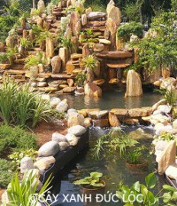 Công trình hồ thác suối cho biệt thự ở Nam Định
