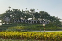 Chăm sóc duy trì cây xanh cảnh quan tại KĐT Park City Hà Đồng